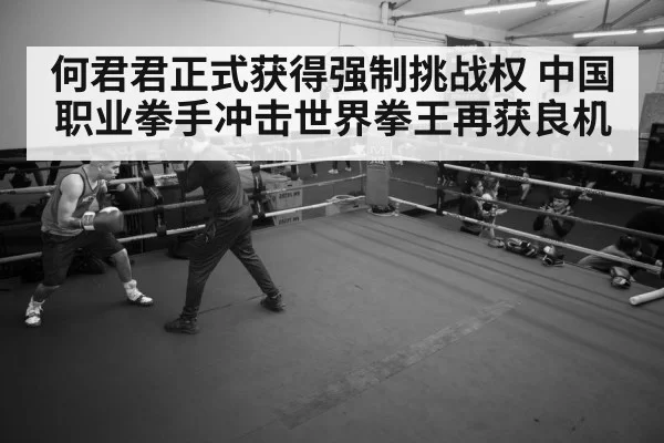 boxer training gym