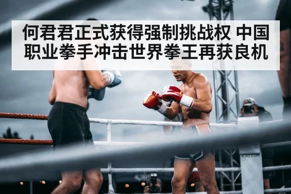 boxer in ring