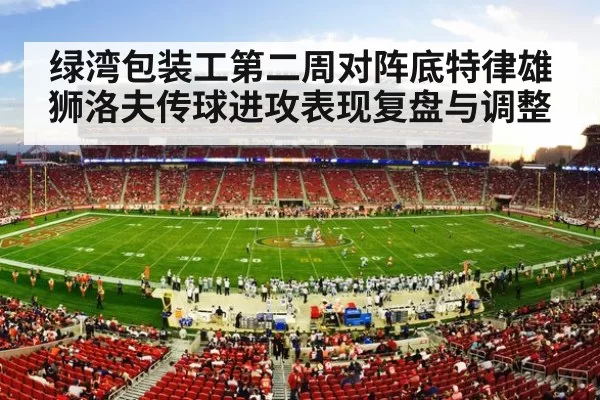 american football stadium crowd