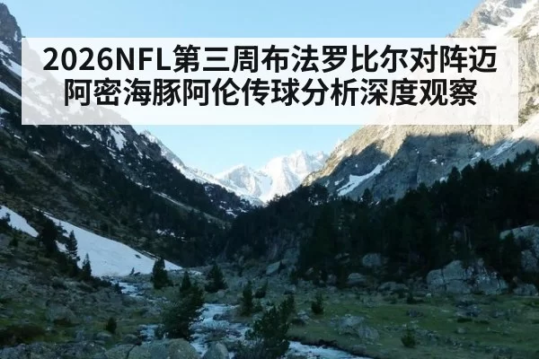 2026NFL第三周布法罗比尔对阵迈阿密海豚阿伦传球分析深度观察